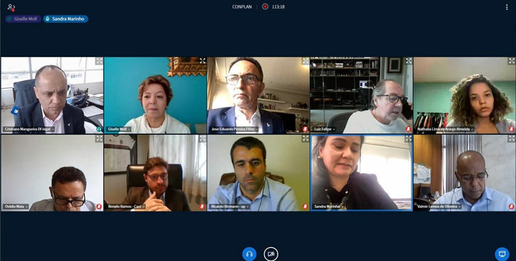 Reunião virtual entre conselheiros do Conplan e representantes da Urbanizadora Paranoazinho